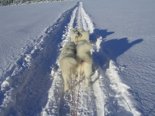 trainingnorwegen1