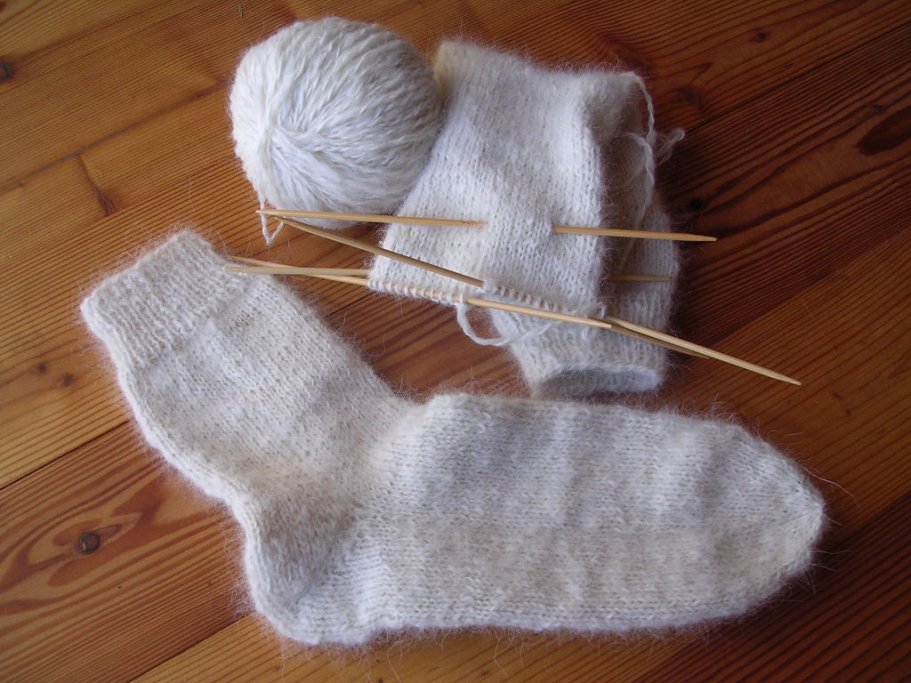 samojedsocks