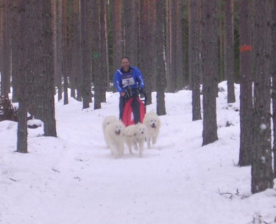 furudal07