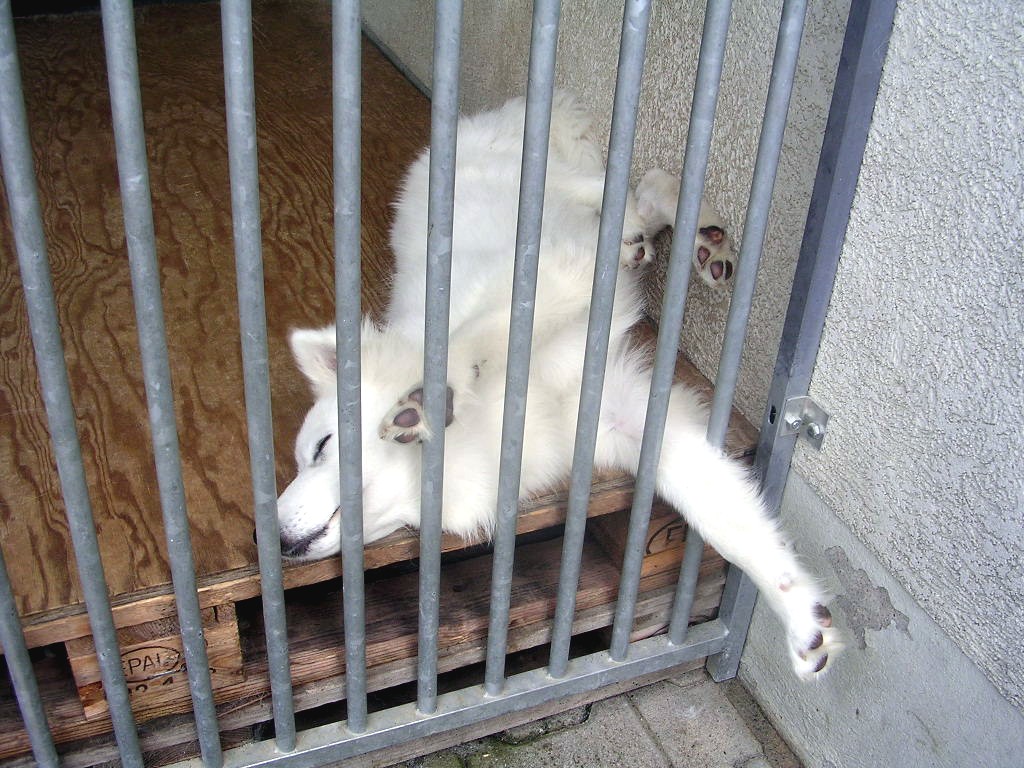 inaschlafstellung