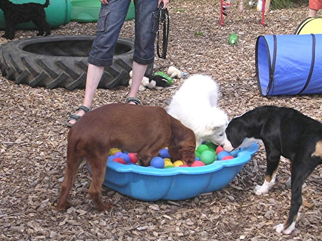inawelpenkindergarten1