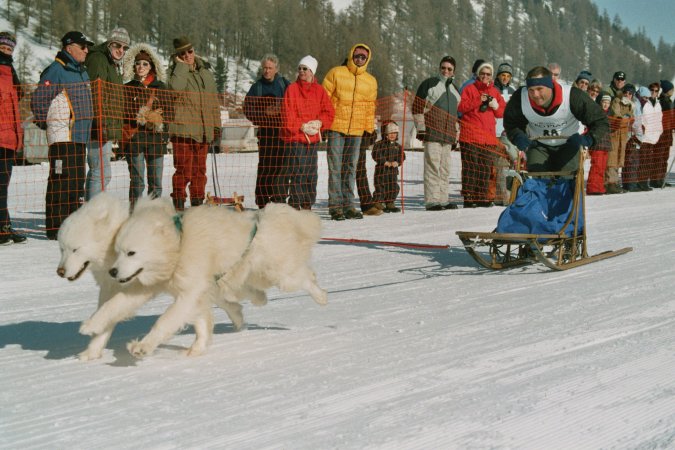 sils05