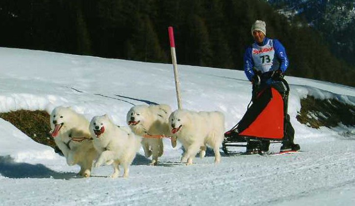 spluegen07