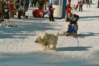 startlenzerheide05
